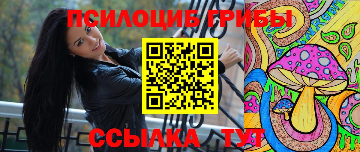 Псилоцибиновые грибы Psilocybe  Вход с VPN  Славгород 
