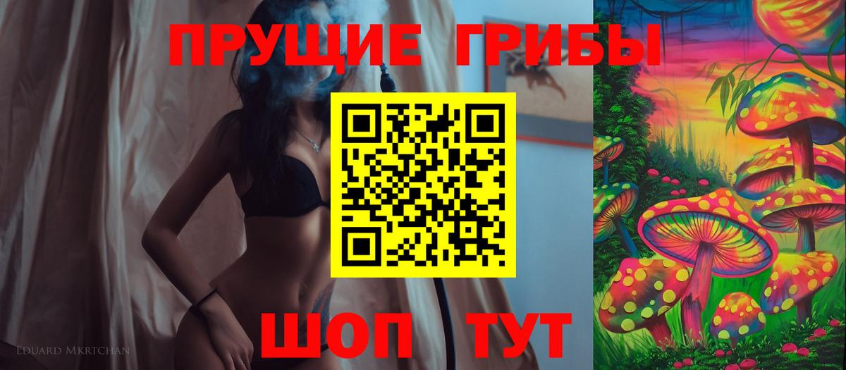 Псилоцибиновые грибы ЛСД Славгород
